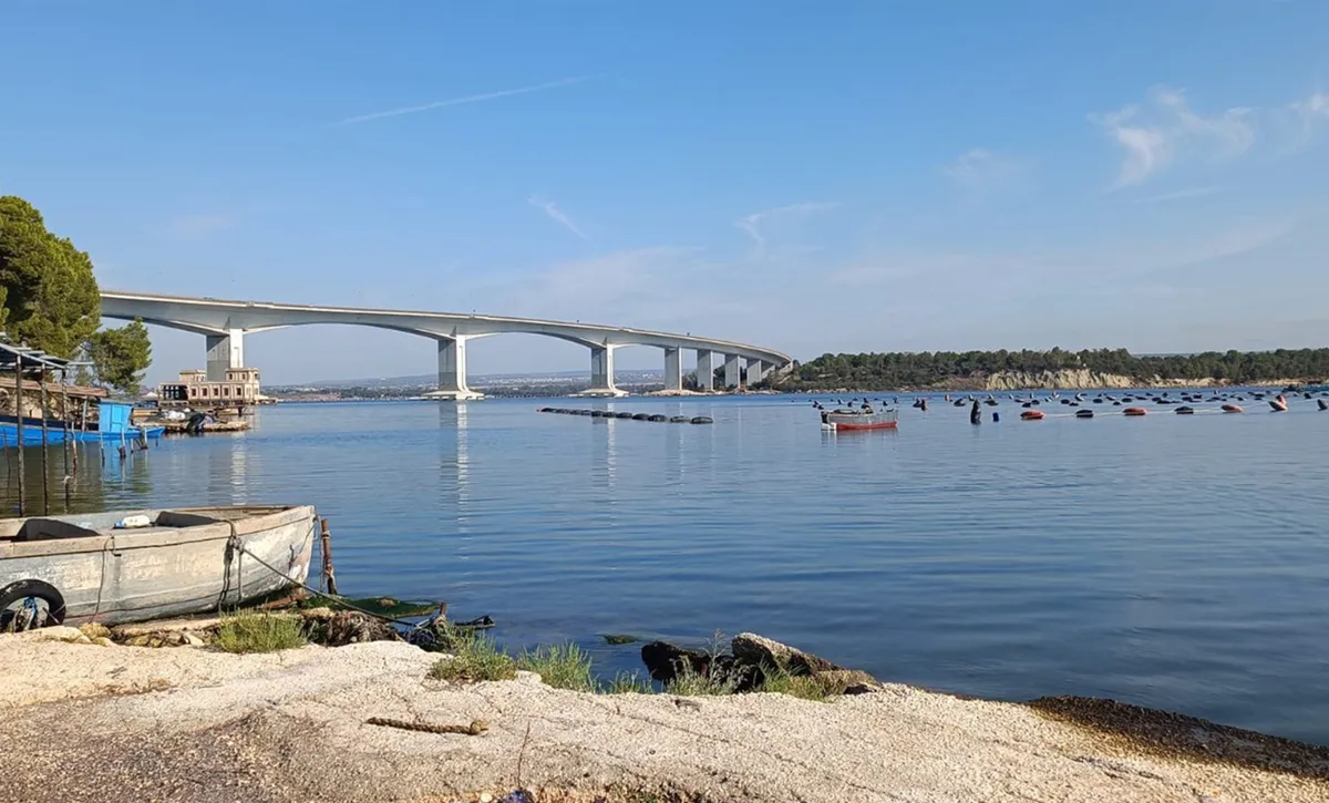 In soccorso delle cozze di Taranto arriva "Mitica"