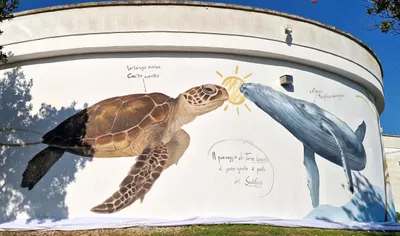 'One Ocean one Connection': Torre Guaceto e SudAfrica “unite” oltre 12 mila chilometri