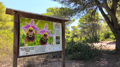 sample poster