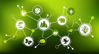 Biodiversità, un’eccellenza da tutelare (e non solo da celebrare)