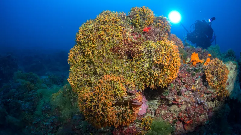 Ugento sul podio regionale, in arrivo 450 mila euro per il mare