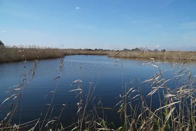Melendugno, lo scrigno “incontaminato” della natura