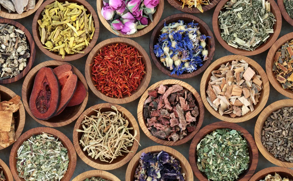 Senza flora selvatica non c'è futuro