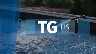 TG LIS