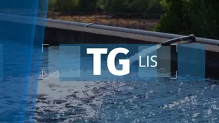 TG LIS