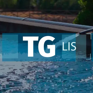 TG LIS
