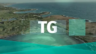 TG TVA