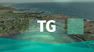 TG TVA