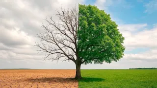 Il clima cambia e l’acqua va protetta