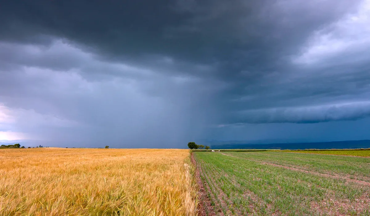 Oltre il ciclone Erminio