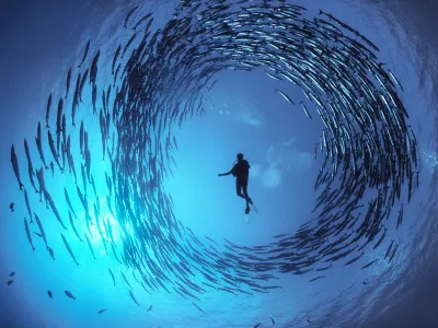 Bellezza e fragilità dell’oceano in 80 fotografie
