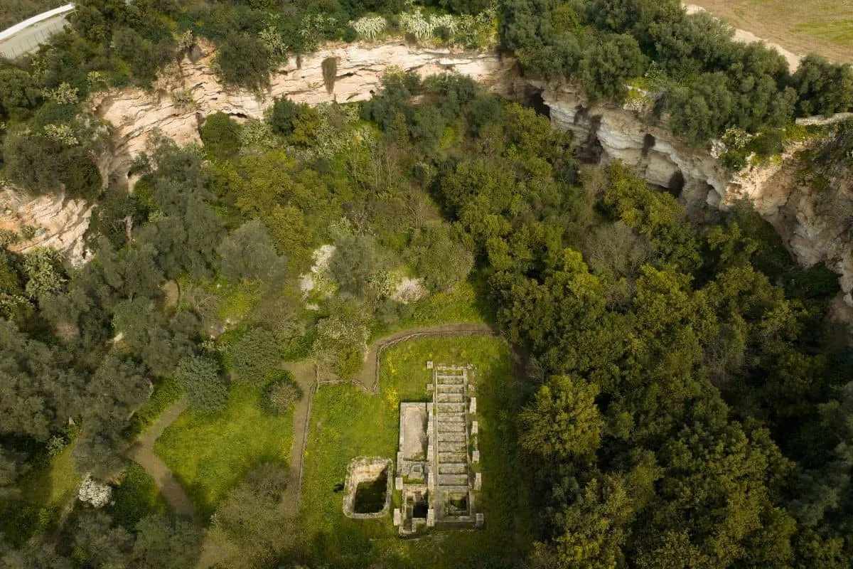 immagine di copertina