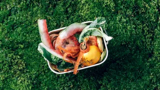 Lotta allo spreco alimentare per un'economia sostenibile