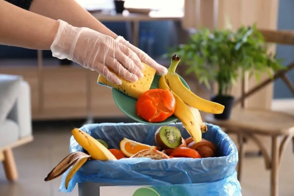 spreco alimentare
