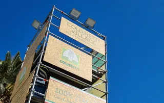 Xylella, il dramma per 21mila piante