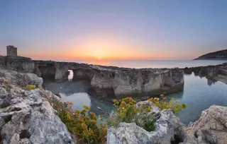 "Best": aree protette e biodiversità da tutelare