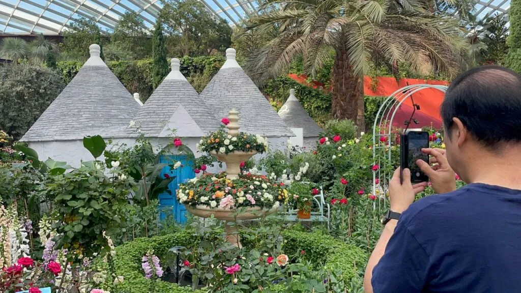 rose_romance_singapore