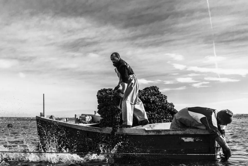 pescatori cozze taranto