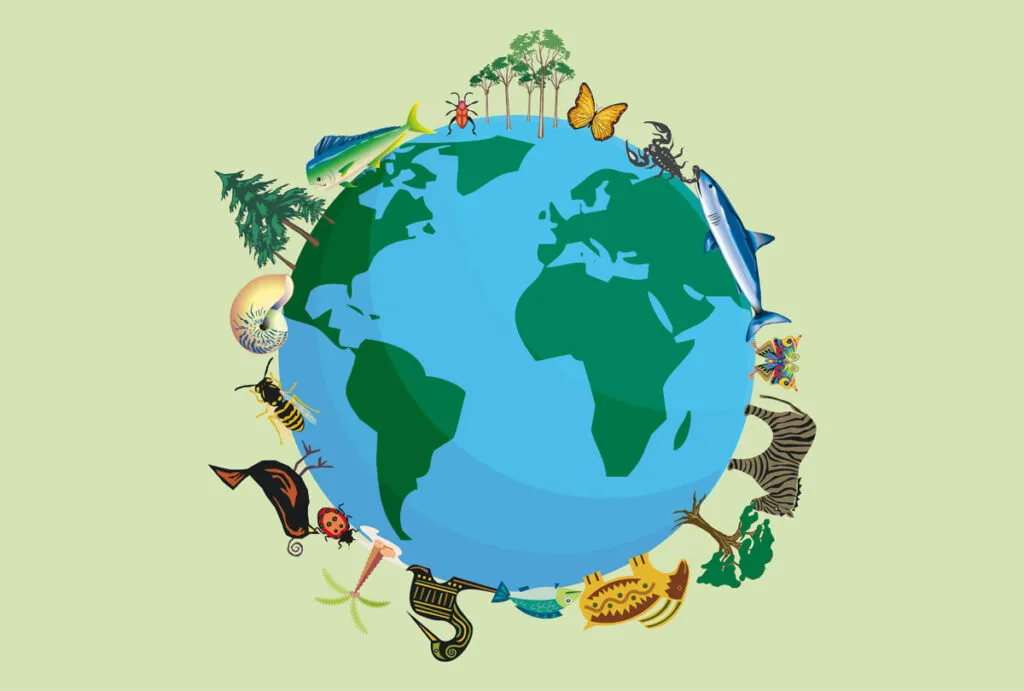 biodiversità