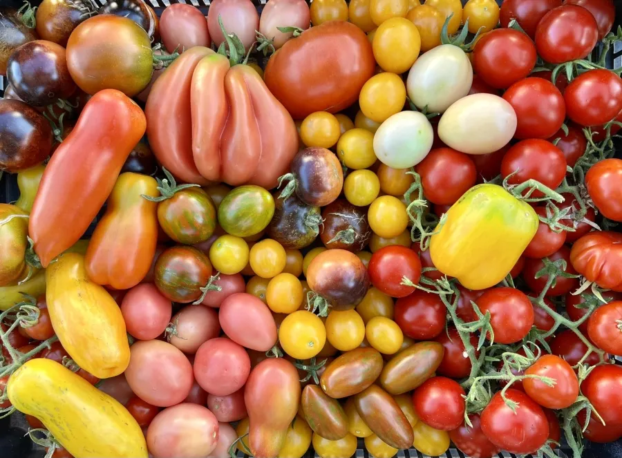 biodiversità