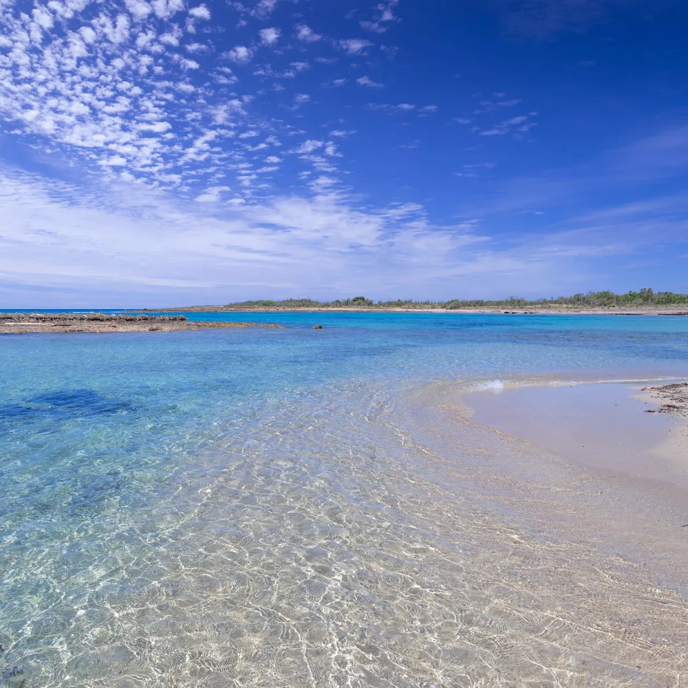 Nel blu dipinto di blu