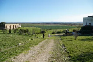 Parco dell'Ofanto, che meravigliosa riscoperta