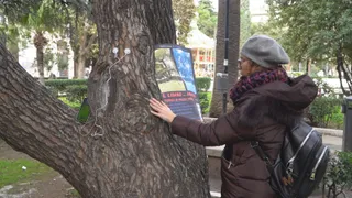 Cosa racconta l'ambiente di piazza Umberto? Scopriamolo