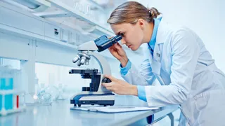 Ambiente, medicina e innovazione: la Puglia brilla nella ricerca