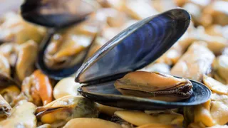Mare caldo, ma non è una buona notizia. Parola ai mitili.