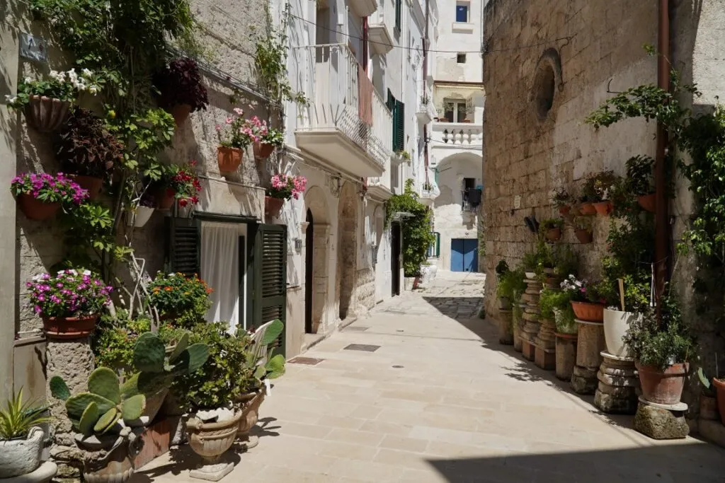 scoperta di Monopoli