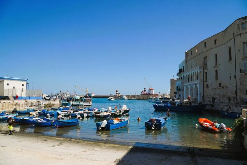 scoperta di Monopoli