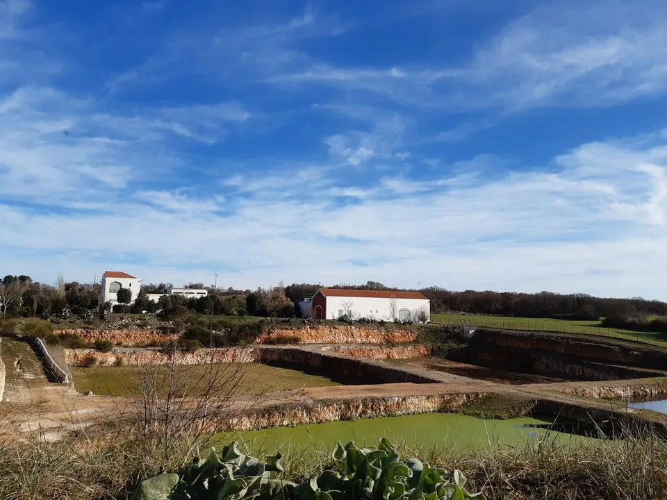 impianto di depurazione di Noci (Ba)