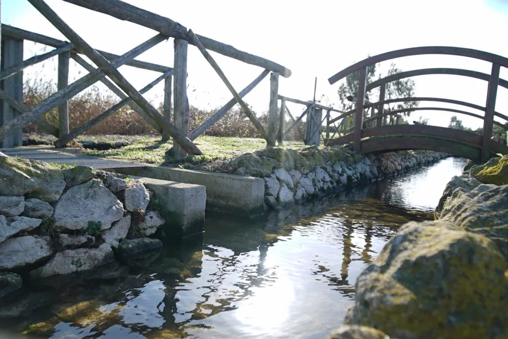 Impianto di fitodepurazione AQP a Melendugno