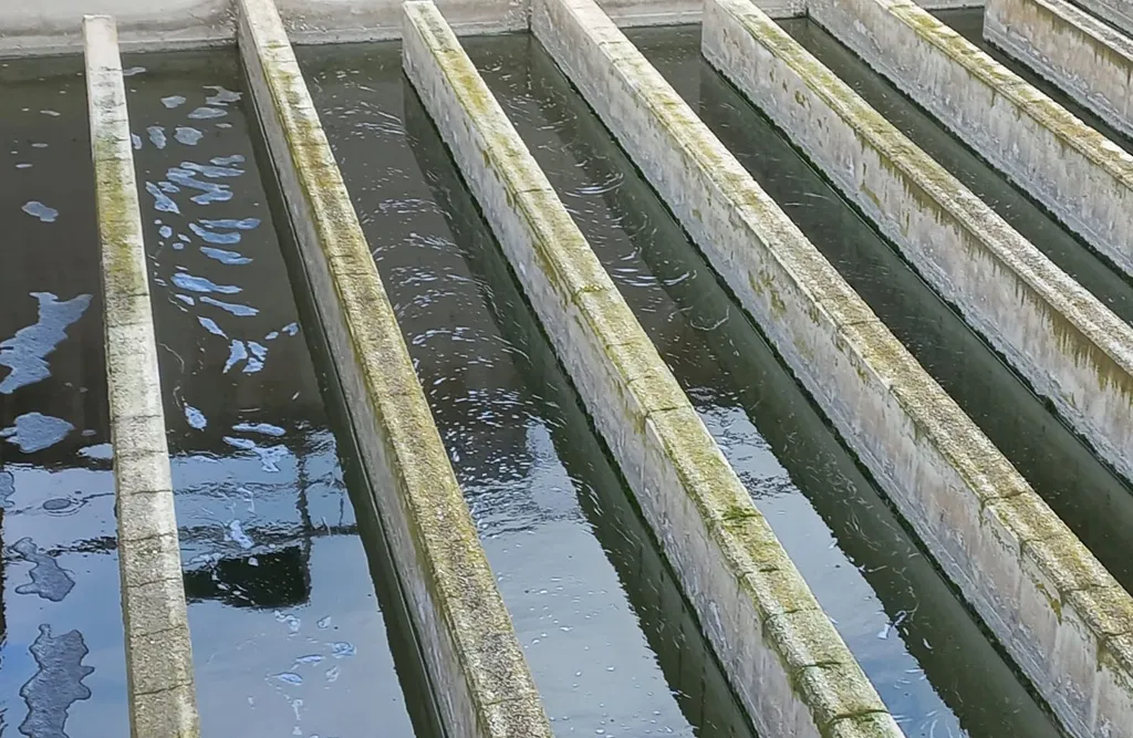 Acque in uscita dall&#x27;impianto di depurazione di Acquaviva delle Fonti (Ba)