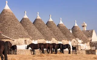 “Zoccoli di Pietra”: green economy e turismo in Valle d'Itria