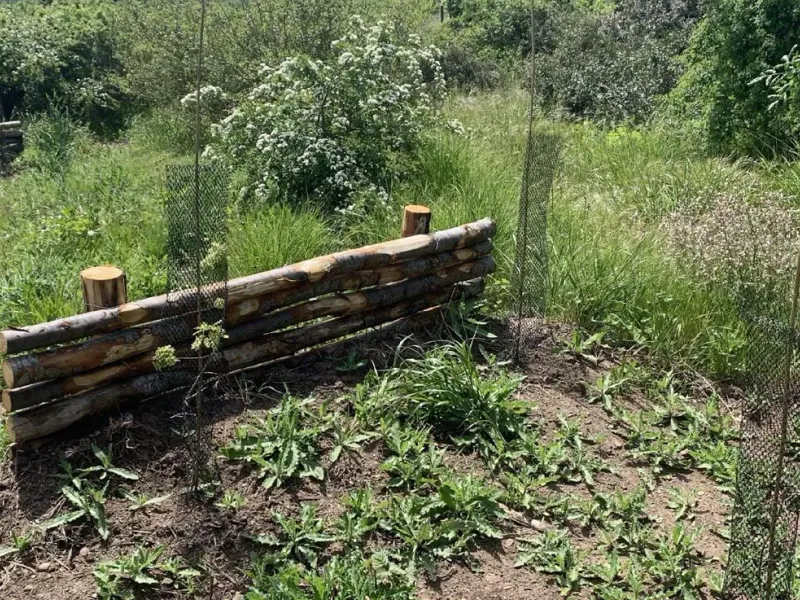 Bosco Difesa Grande, l’ingegneria che respira