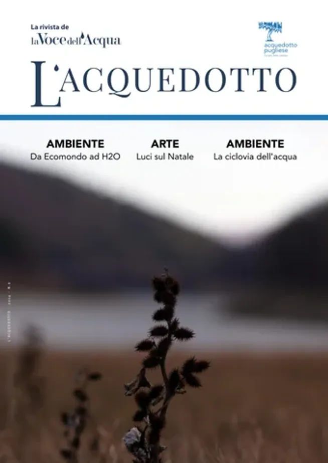 L'Acquedotto VI 2024