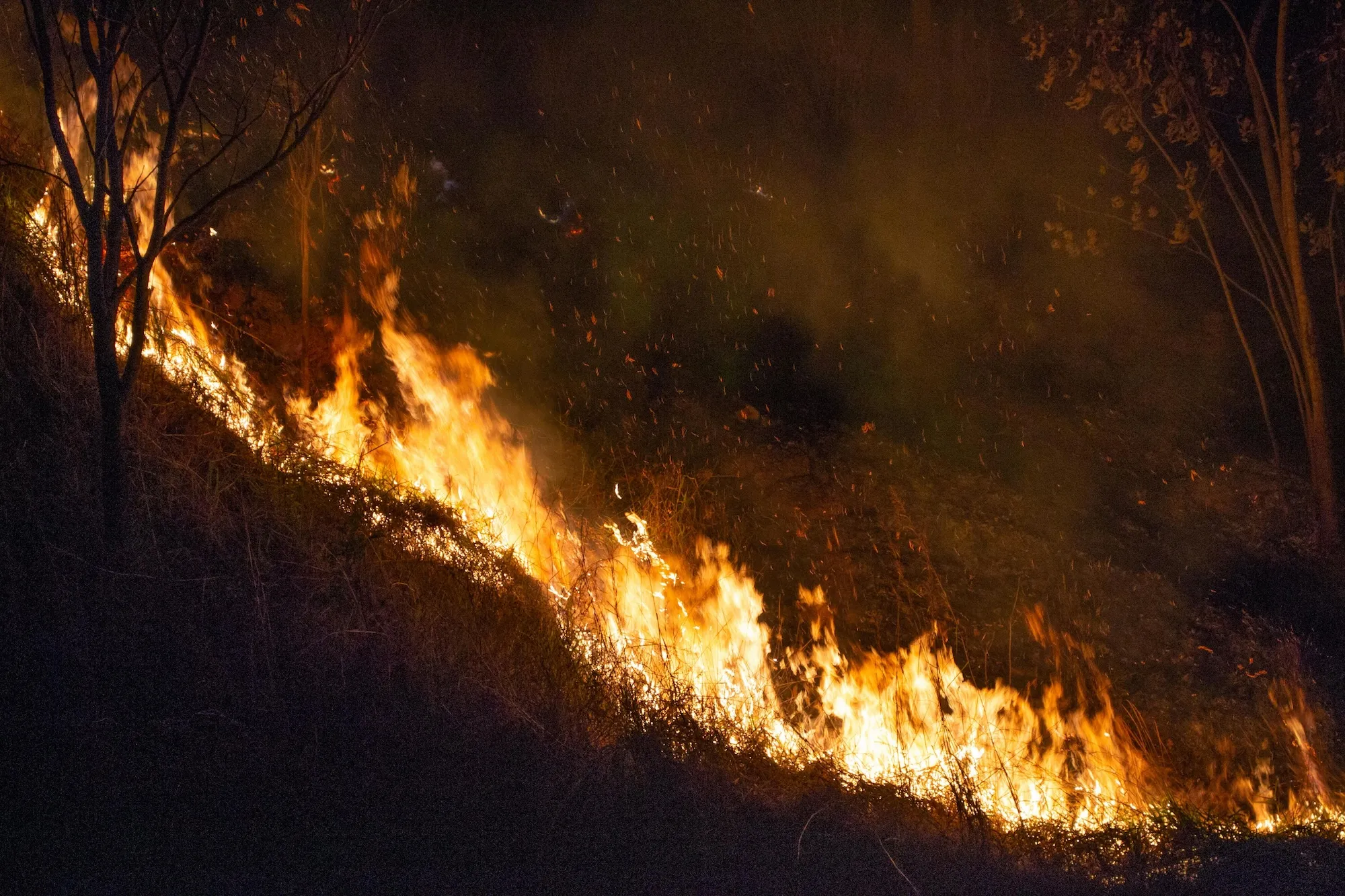 Incendio nei campi