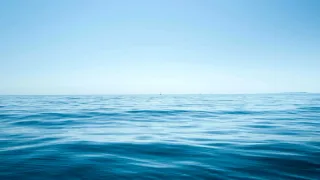 Cosa rende davvero pulito il mare