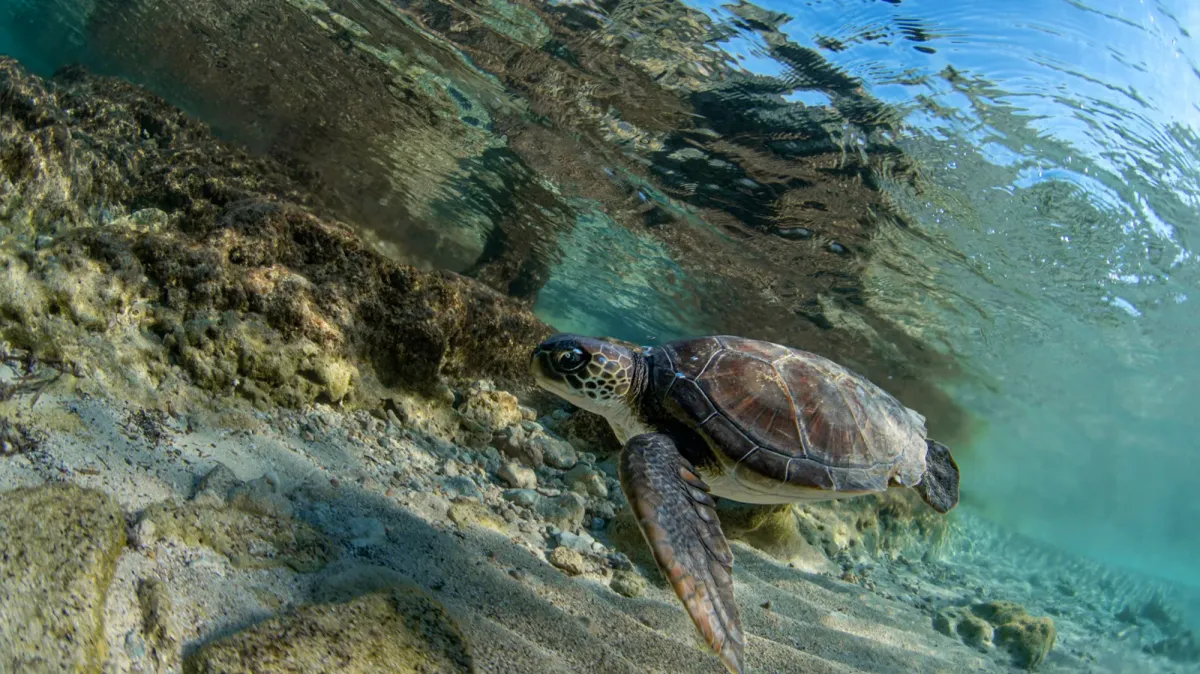 Ciao mare, siamo tornate