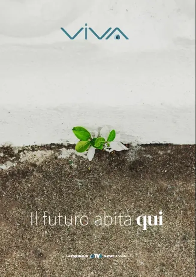 Viva IV - 2025